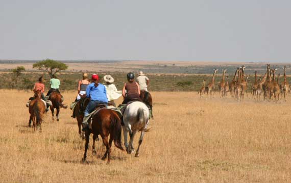4 Days Masai Mara Budget Group Joining Camping Safari